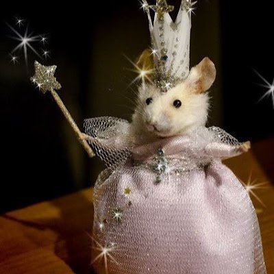 Lavender_Rose15's profile picture. 
