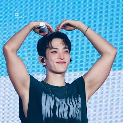 svtdkcarat's profile picture. 🩵🩷