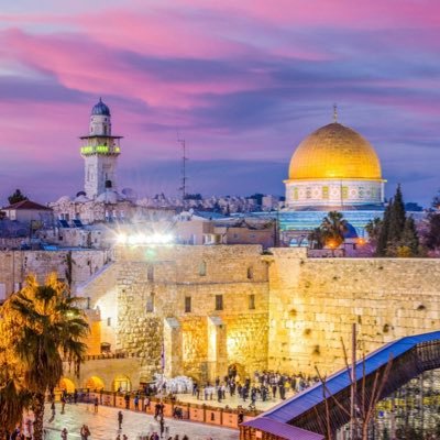 Mom, grandma, world traveler. 🌎 ✈️ 65 countries and counting. Sephardic Ashkenazi ☯️✡️ Free Range Zioness #BringThemHomeNow🎗️#AmYisraelChaiForever💙