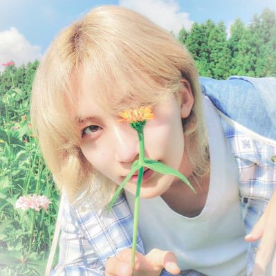 melopdys's profile picture. 