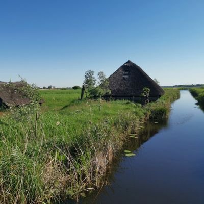 Nicholas188213's profile picture. Hey 😊.. Let's talk about what's is bothering you.. it could be the end of it.
HMU!!👇👇