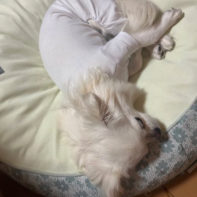 196n41uUoB56532's profile picture. 