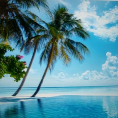 WinterG99579's profile picture. 
