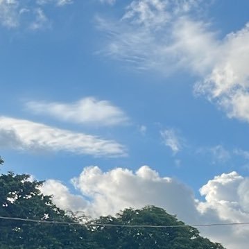 _parksooyoungi's profile picture. 