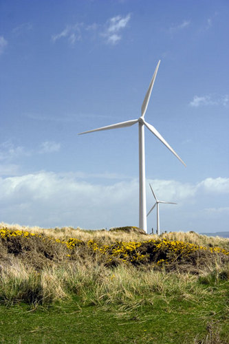 Wind Energy Ireland Profile