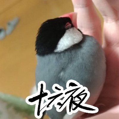 エミリア様がすき
#一日一回感謝のエミリア様描きso16
#エミリア様の子ども妄想シリーズso16
https://t.co/nEROrrpYI1
https://t.co/mTtU4vP5d5
https://t.co/rQwCFET6eD