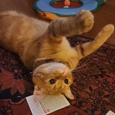 Chuckled018's profile picture. priv for @Chuck__Chuckie