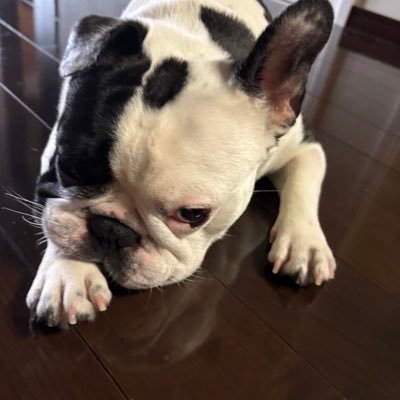 vl012293's profile picture. Denaファン　cx-5に乗りたい