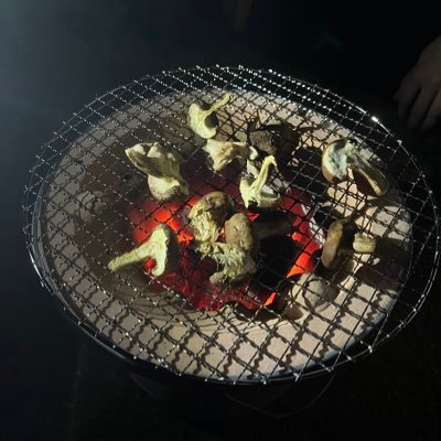 Nyuuyy's profile picture. 仮想通貨/FX 初心者