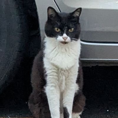 Evange1ion7's profile picture. 俺には、神がついている。