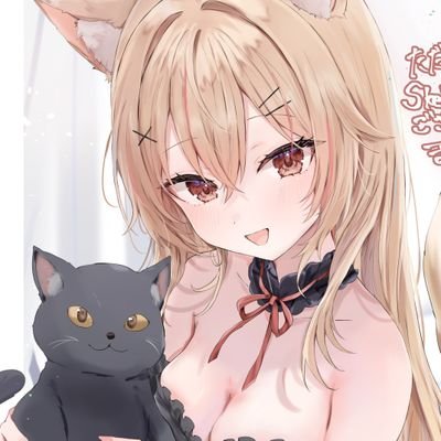 ただのキツネさんのプロフィール画像