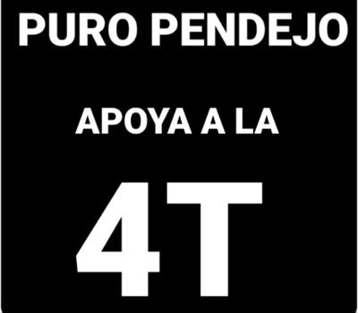 SalvadorMrques1's profile picture. 