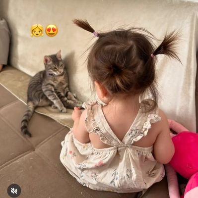 @lirir_