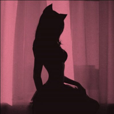 Inkompetentesiq's profile picture. 