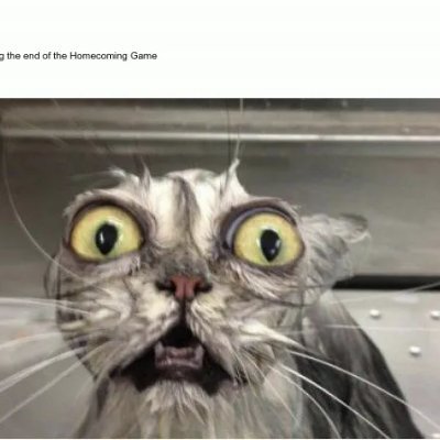 lulspro's profile picture. Discover the future of tech ⚡ Explore AI tools, gadgets & apps with tips, reviews & the best deals daily.