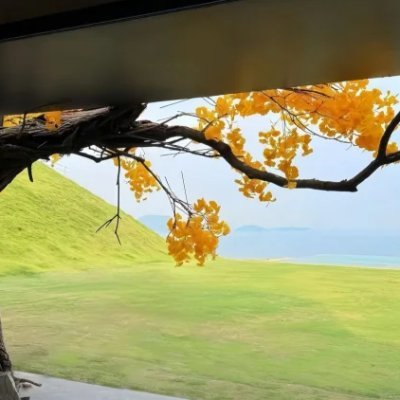 Iezreruxo184's profile picture. 生活の煩雑さを捨てて、外に出かけ、持ち帰るのは自分自身のユニークな記憶です