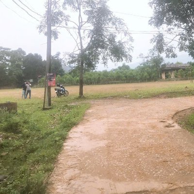 tran_hai78944's profile picture. 