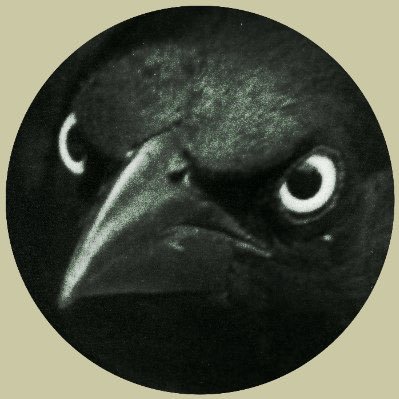 Leftist Fronterizo | Covering Politics & Culture | Contributor to the Hasanabi Blast Off Meme Industrial Complex