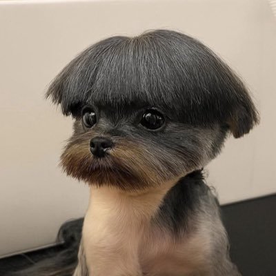 Journey2kingdom's profile picture. 😎☀️⛱️