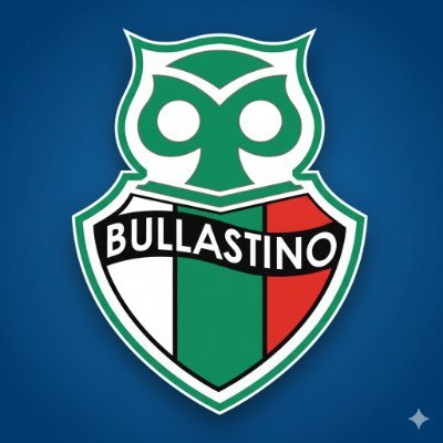 #Chileno 🇨🇱❤️🇵🇸 #Palestino, #Padre, #Octubrista , Siempre por la Izquierda, #VamosLaU 💙 ,#FreePalestine, #Ingeniero, #Gamer, #Redpill