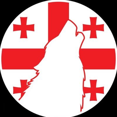 MegaMulani_'s profile picture. I post about the war in 🇺🇦Ukraine, the West, and the situation in my homeland, 🇬🇪Georgia.