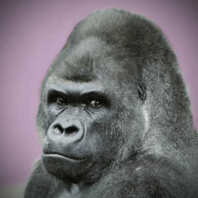 ALEX76277879's profile picture. じきにカタチも失うであろう生ける屍

淘汰されるときが    訪れたようです · · ·