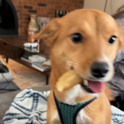 d1msc3n3's profile picture. “Negative I am a meat popsicle”— Leslie, she/they INFJ 🏳️‍🌈 30s. Priv for @ailaikjedi