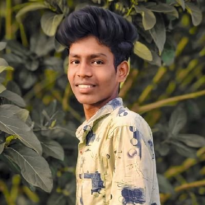 Arish_dev's profile picture. 