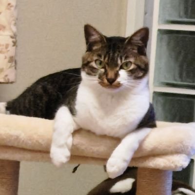 Hiropon（RN.横浜のひろぽん） (@umanchu1010) / Posts / X