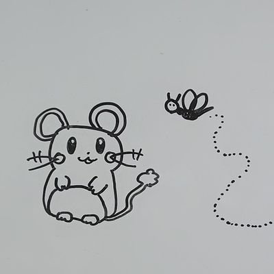 mi_mimi_chan08's profile picture. 高2(17)          ネオンテトラは私の弟だよ!よろしくね!