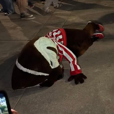 College Sports highlight poster. Wisconsin sports fan.