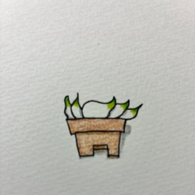 dcstBigLove's profile picture. 