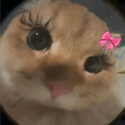 Aromao01's profile picture. I don’t chase dreams, I nap