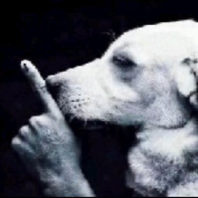 bone_t3361's profile picture. 