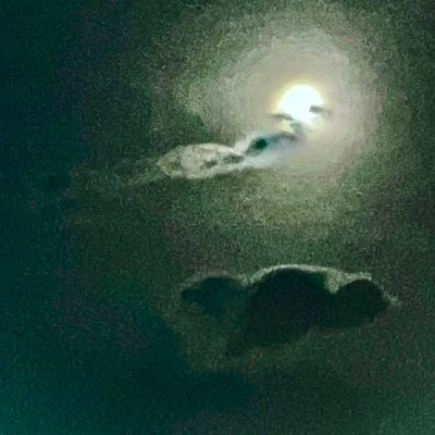 Ju5KJ03kLL9FgfY's profile picture. 毎日エッチなことしか考えてない。