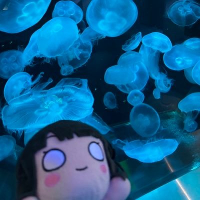 hakuchiyon's profile picture. 05 uspラ研,滋賀ラ研 シガライブ!2nd 百生吟子👘