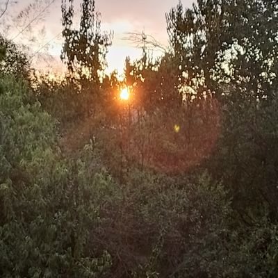 CrispineAgata's profile picture. 