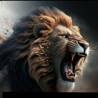 KarnaKarna77918's profile picture. 