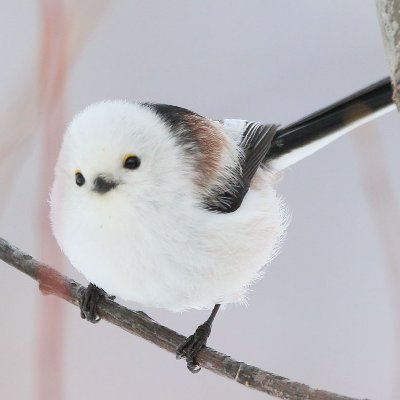 ito_toshi_'s profile picture. 元零細企業経営者、現在は資産所得で細々と暮らしています。ポストは投資、テスラ（model3HighlandRWD)、温泉、旅行、トライアスロン 、ロックなど｜不動産(事務所.店舗.コンテナ.戸建) | 太陽光| 米国債 | 株式(世界のベスト.フィデリティF.TMF.TSLA)