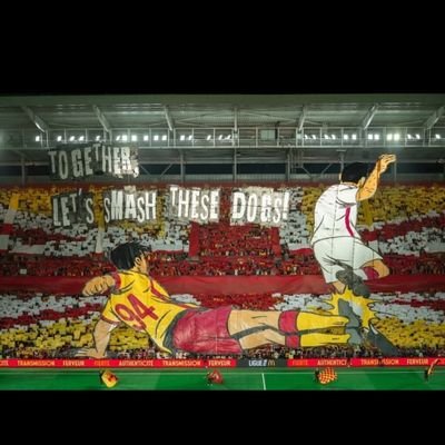 MorganNieppe62's profile picture. ❤💛