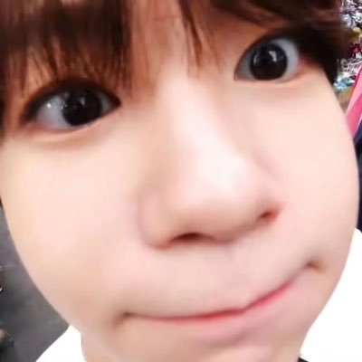 fei_loll's profile picture.