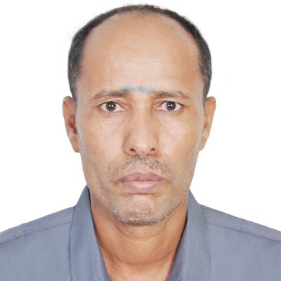 HaftayT52432's profile picture. 