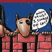 ballsilitis's profile picture. ring camera says motion detected 😝…. i am vibrateetor for boys panis ℮ ℮ ℮ ℮ ℮ ℮ ℮