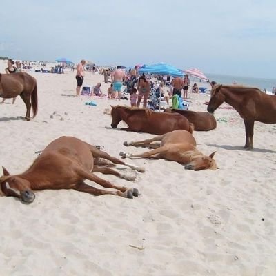 EvilestMFsInc's profile picture. See me die on evil street,

I'm bored with being a freak,

I jerk off to roblox porn with no fear...

You can do it too if ur sincere...