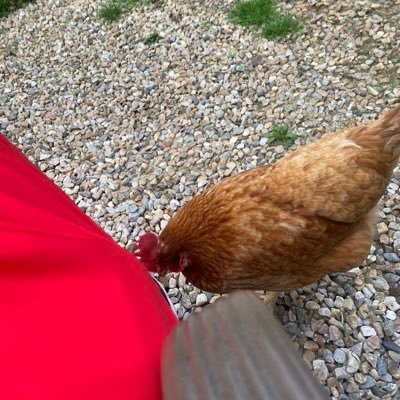 fanonafield's profile picture. What’s up America No DM’s por favor. No trains 🚂