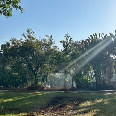 urbanicnomad's profile picture. Retweeting important events to tell my future generations "I lived through it"