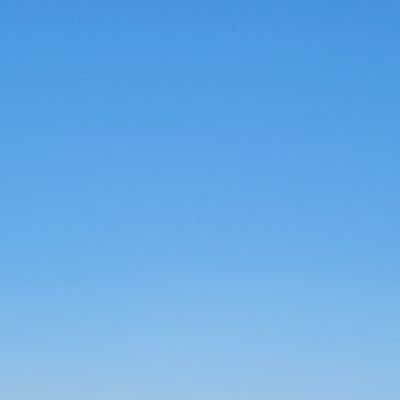 97LESSERA97's profile picture. 開業を目指す5年目獣医師