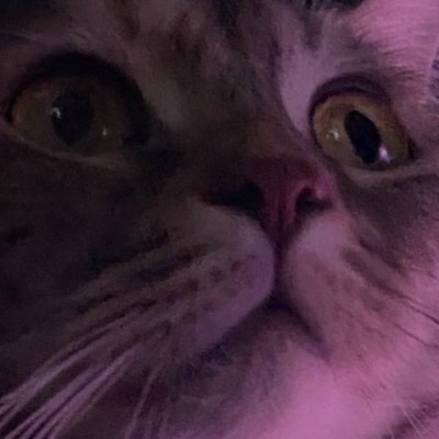 errorqueue's profile picture. 