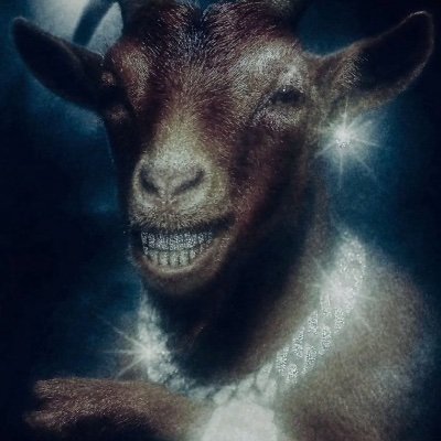 jamiestoner96's profile picture. Rapper, 🤛🤛 crypto(SOL &BTC Hunter ) Strike-Force