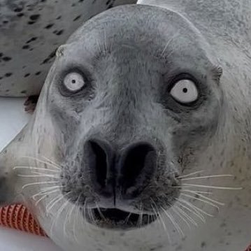 churbum's profile picture. Unbothered, Flourishing (18)